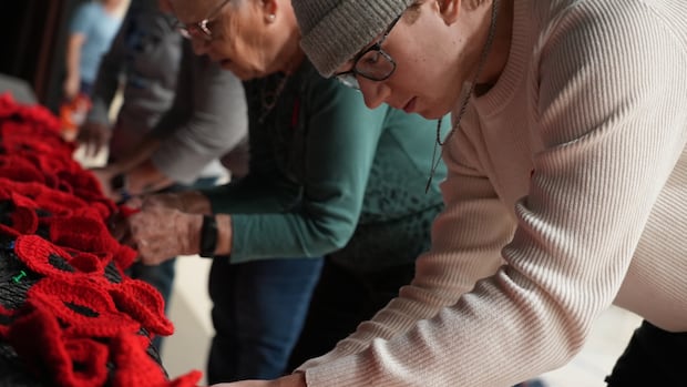 thousands-of-crochet-poppies-honour-rural-veterans-from-prairies-to-maritimes