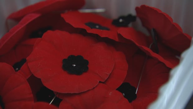 what’s-open,-closed-around-the-halifax-area-for-remembrance-day