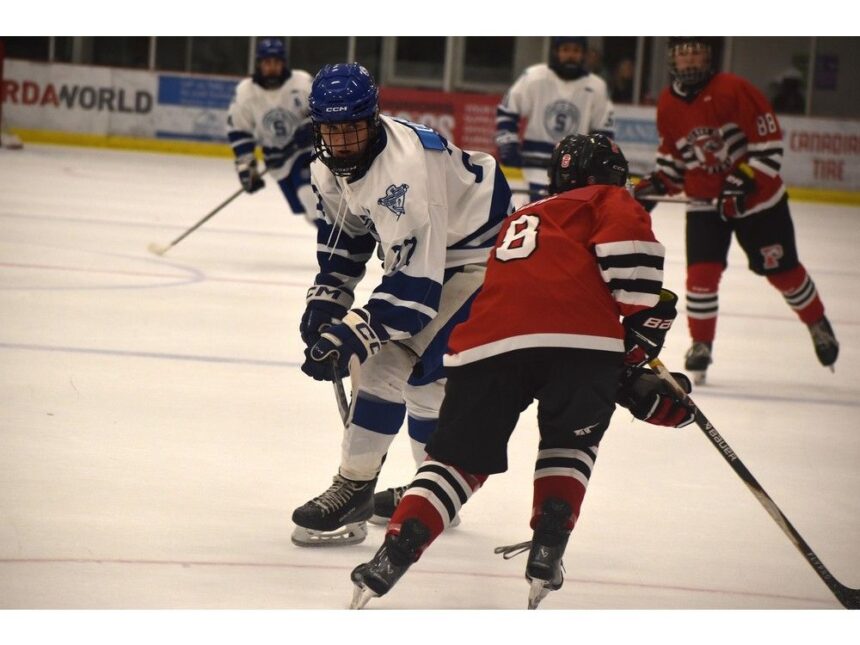 cb.-high-school-hockey:-glace-bay-panthers-dominate-sydney-academy-wildcats-on-the-road