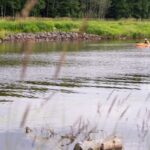 here-are-ontario’s-proposed-new-conservation-authorities