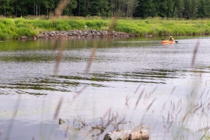 here-are-ontario’s-proposed-new-conservation-authorities