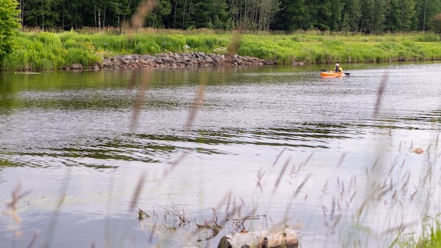 here-are-ontario’s-proposed-new-conservation-authorities