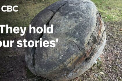 thunderbird-eggs-return-home