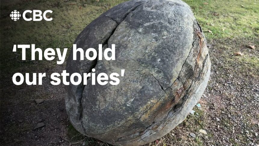 thunderbird-eggs-return-home