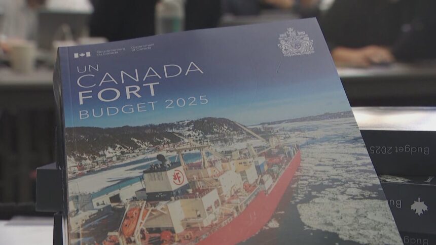 what-vets-canada-is-looking-for-in-the-federal-budget