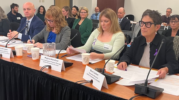 ns.-to-consider-reimbursing-service-providers-for-covering-program-processing-delays