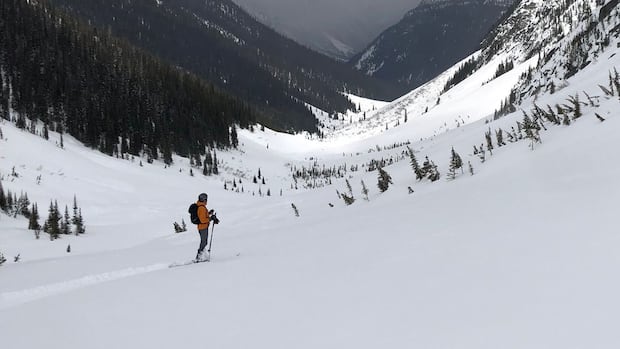 all-backcountry-users-require-a-permit-in-bc.’s-glacier-national-park-this-winter