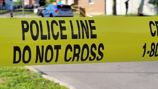 ottawa-police-say-clearance-rate-dropping-as-reported-crimes-rise