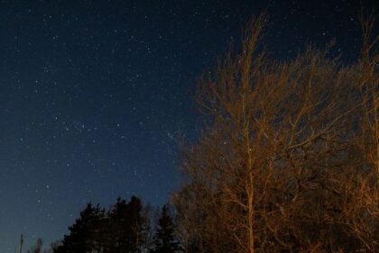atlantic-skies:-the-leonids-the-meteor-shower-that-revolutionized-meteor-science