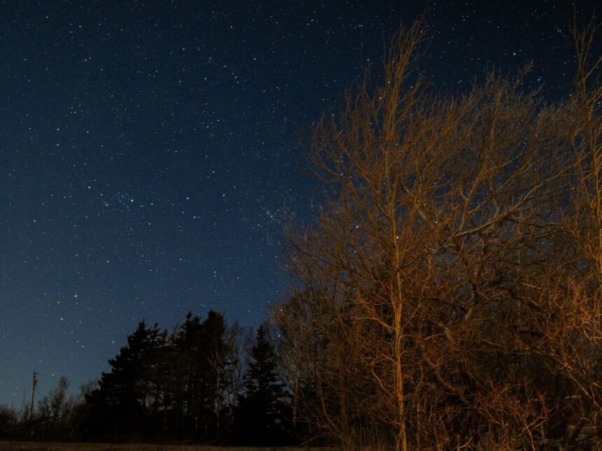 atlantic-skies:-the-leonids-the-meteor-shower-that-revolutionized-meteor-science