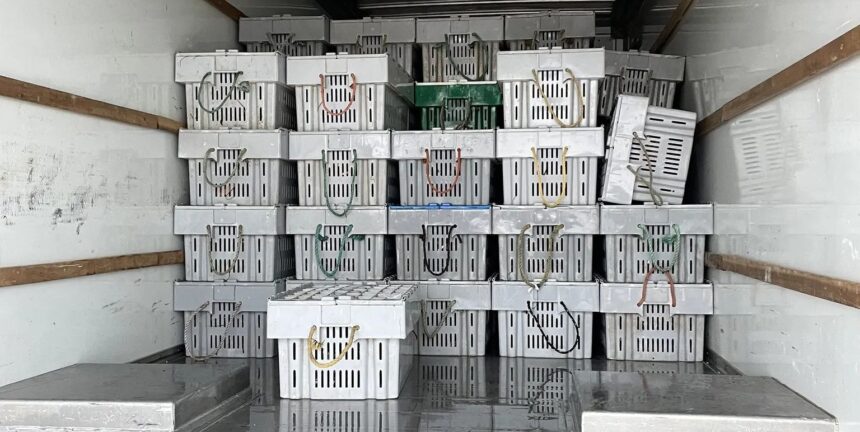 fisheries-busts-rise-with-former-mountie-in-dfo-enforcement-role.-can-dfo-win-back-the-trust-of-atlantic-fishing-communities?