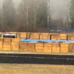 ‘deep-burial’-for-ostriches-at-bc.-landfill-as-cfia-completes-cull-and-disposal-work