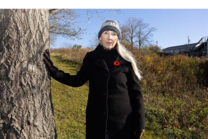 eastern-passage-housing-developments-a-mistake-in-more-ways-than-one,-say-neighbours