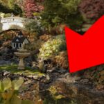 walking-along-halifaxs-forgotten-underground-brook