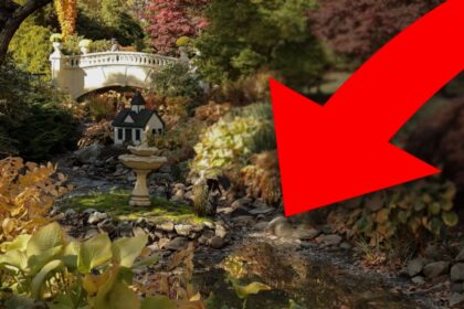 walking-along-halifaxs-forgotten-underground-brook