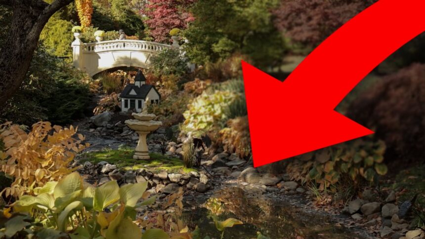 walking-along-halifaxs-forgotten-underground-brook