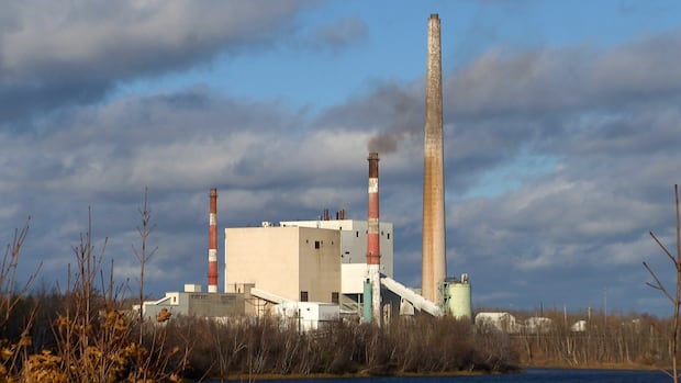 high-hopes,-deep-concerns:-pictou-county-residents-weigh-in-on-new-power-plant