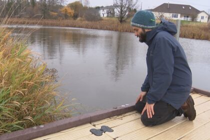 a-new-invasive-species-on-pei.-could-spell-trouble-for-islands-waterways