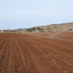 green-party-calls-for-independent-body-to-oversee-high-capacity-wells-on-pei.