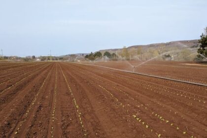 green-party-calls-for-independent-body-to-oversee-high-capacity-wells-on-pei.