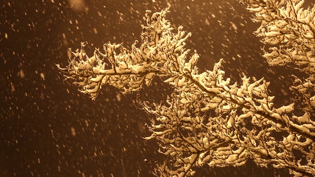 part-of-northwestern-manitoba-under-snowfall-warning-until-saturday