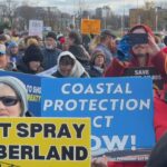hundreds-gather-at-halifax-rally-to-call-for-better-environmental-protection-in-nova-scotia