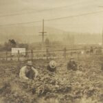 city-of-burnaby-makes-formal-apology-for-decades-of-discrimination-against-people-of-chinese-descent