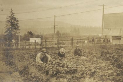 city-of-burnaby-makes-formal-apology-for-decades-of-discrimination-against-people-of-chinese-descent