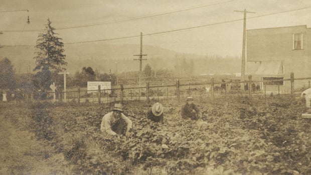 city-of-burnaby-makes-formal-apology-for-decades-of-discrimination-against-people-of-chinese-descent