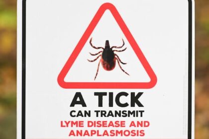 ns.-woman-highlights-barriers-in-getting-help-for-lyme-disease