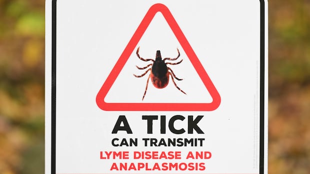 ns.-woman-highlights-barriers-in-getting-help-for-lyme-disease