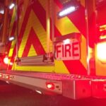 ‘they-just-kept-coming’:-nearly-20-dogs-rescued-from-hants-county-fire