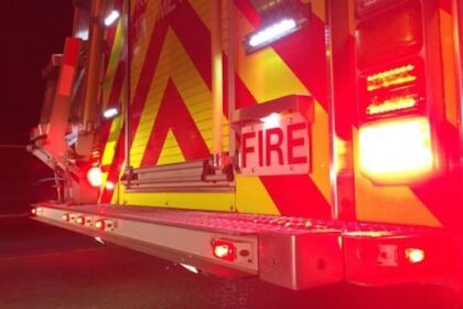 ‘they-just-kept-coming’:-nearly-20-dogs-rescued-from-hants-county-fire