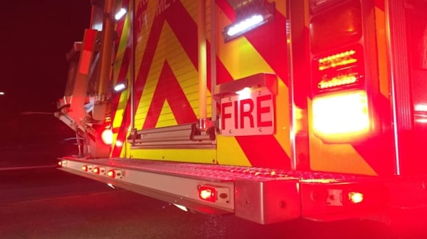 ‘they-just-kept-coming’:-nearly-20-dogs-rescued-from-hants-county-fire