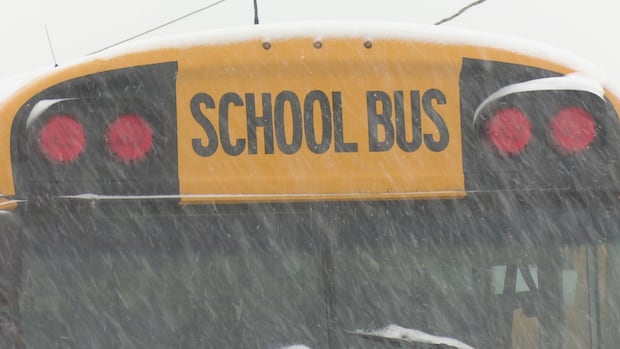 northwestern-nb.-schools-cancelled,-snowfall-warnings-in-place