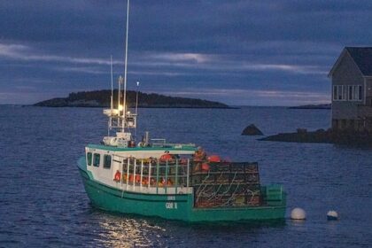 nova-scotia-to-create-enforcement-unit-to-fight-illegal-seafood-buying,-processing