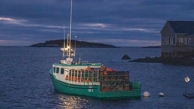 nova-scotia-to-create-enforcement-unit-to-fight-illegal-seafood-buying,-processing