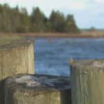plan-for-whale-sanctuary-making-waves-in-eastern-nova-scotia