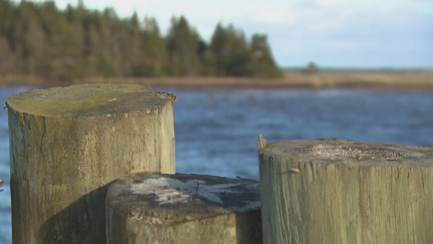 plan-for-whale-sanctuary-making-waves-in-eastern-nova-scotia