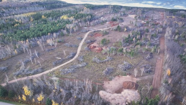 proposed-golf-course-in-eastern-pei.-wins-community-support,-but-sparks-anger-from-watershed-group