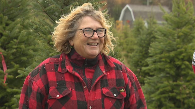 pei.’s-christmas-tree-supply-remains-strong-despite-summer-drought