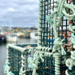 new-nova-scotia-compliance-inspectors-will-be-on-wharfs,-in-seafood-plants-making-sure-lobsters-are-legal