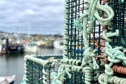 new-nova-scotia-compliance-inspectors-will-be-on-wharfs,-in-seafood-plants-making-sure-lobsters-are-legal