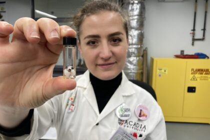 ns.-workers-compensation-board-addressing-psychological-injuries