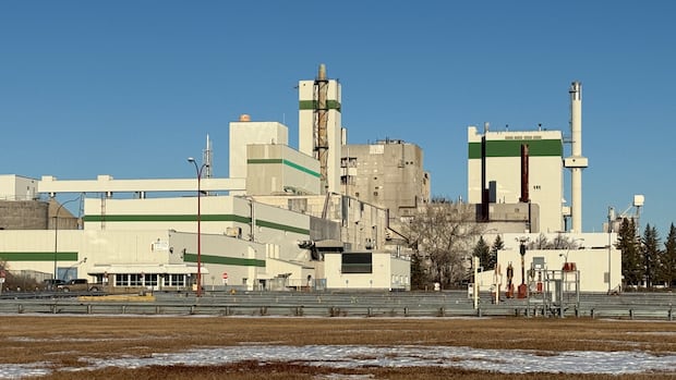 prince-albert-pulp-mill-will-not-reopen,-osb-plant-still-looking-to-build-on-the-site