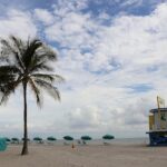 canadian-snowbirds-say-us.-politics-are-ruffling-feathers-and-changing-their-migration-patterns