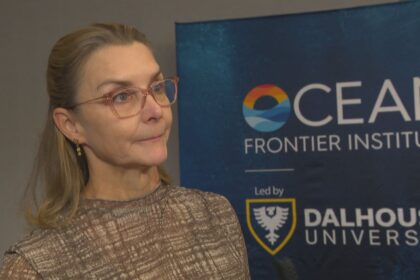 researchers-in-halifax-to-discuss-solutions-for-a-safer-ocean