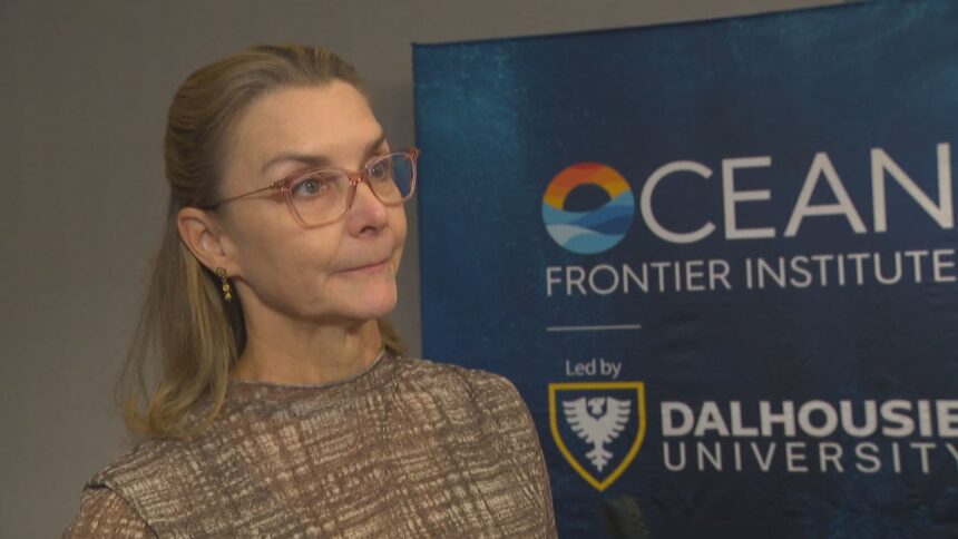 researchers-in-halifax-to-discuss-solutions-for-a-safer-ocean