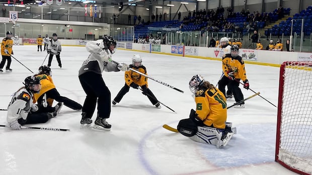 ‘it-is-amazing-what’s-happening’:-fredericton-ringette-pioneers-reflect-on-50-years-of-play
