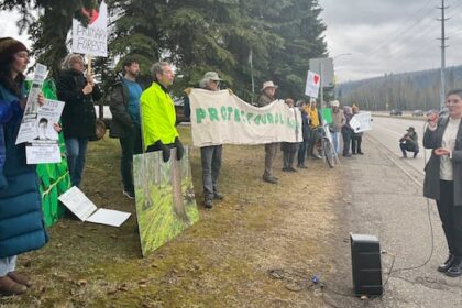 protests-held-province-wide-urging-forestry-reform,-targeting-bc.-timber-sales